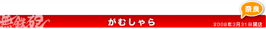 がむしゃらのご案内 2008年3月31日開店